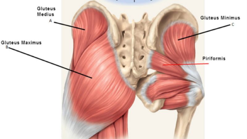 سندرم پیریفورمیس چیست؟