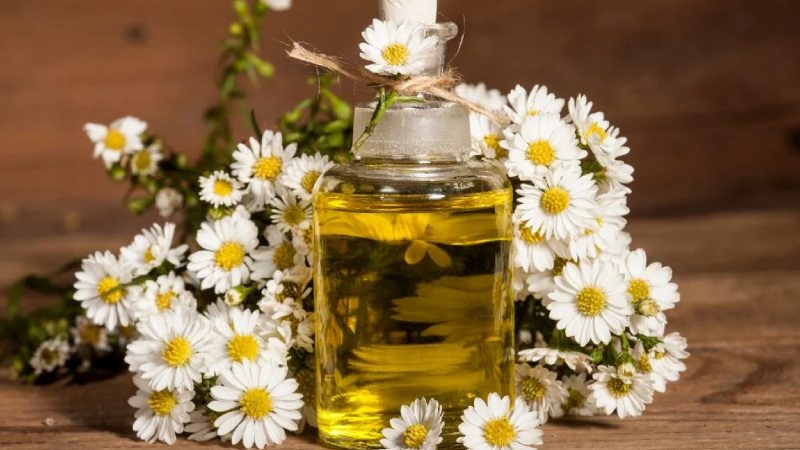 خواص روغن بابونه برای ماساژ